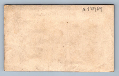 Pohlednice ŽÁK A HOUSLE (x17969)