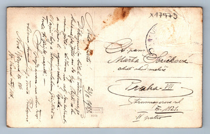 Pohlednice ŽENA NA ZAHRÁDCE (x17973)