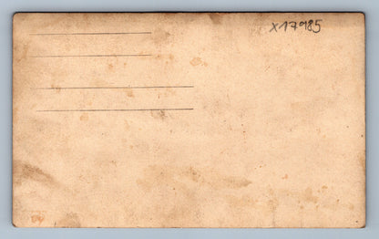 Pohlednice RODINA V LESE (x17985)