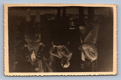 Pohlednice DIVADLO český krumlov (x18012/1)