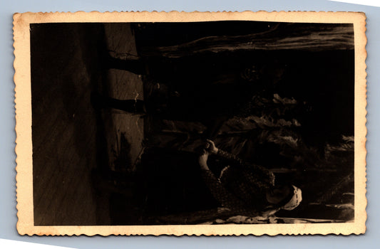 Pohlednice DIVADLO český krumlov (x18015/1)