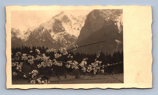 Fotografie JARO ALPY (x18052/1)