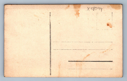 Pohlednice KLUK V LESE (x18094)
