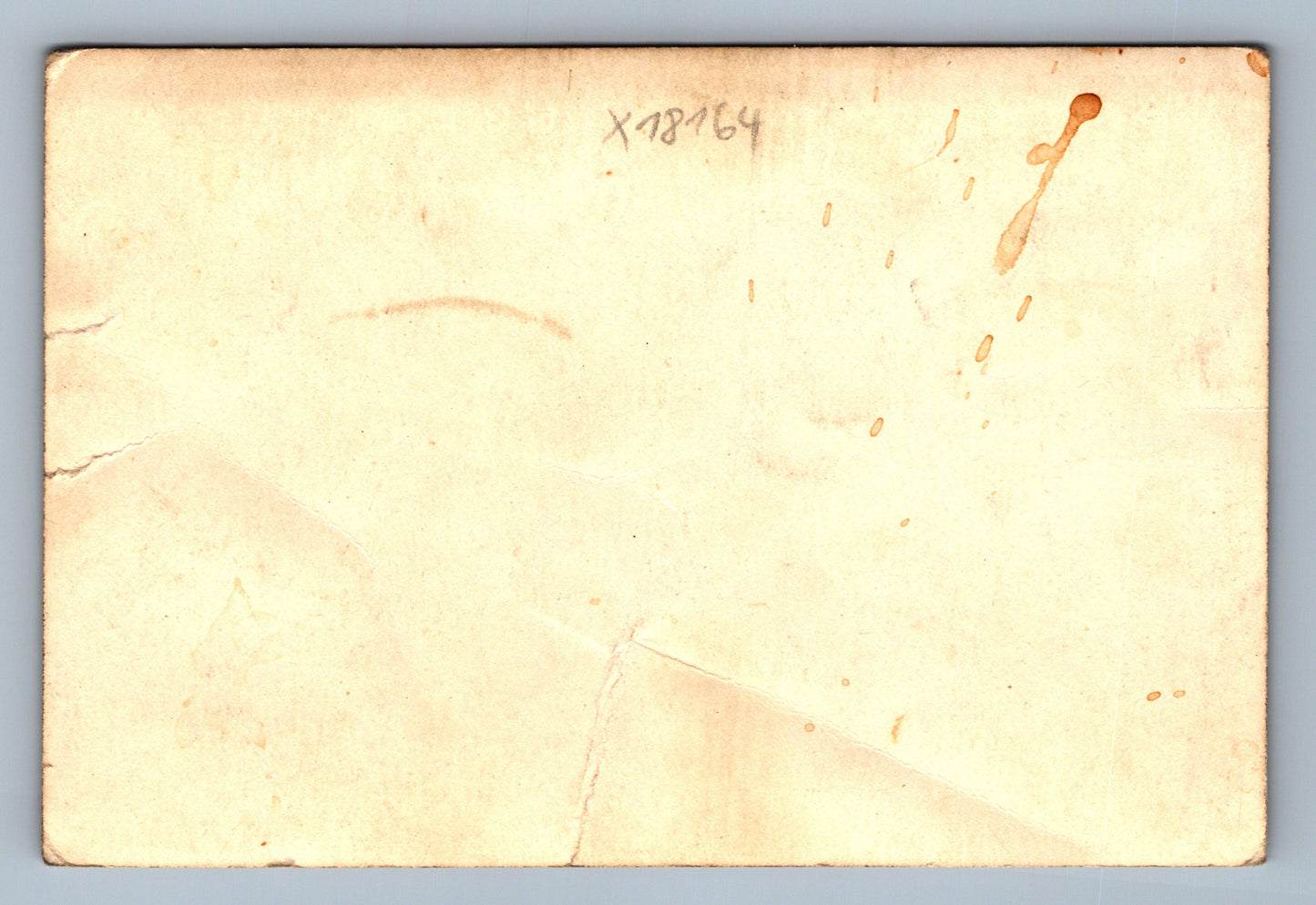 Fotografie SVATBA (x18164)