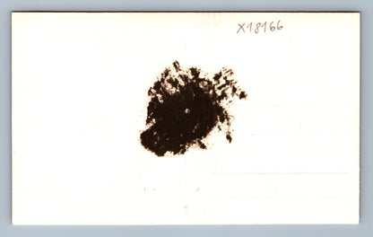 Pohlednice NÁVŠTĚVA (x18166)