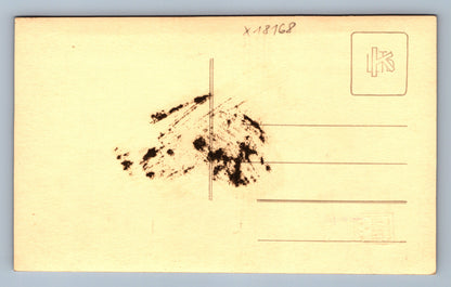 Pohlednice SVATBA (x18168)