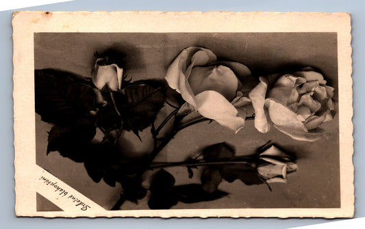 Pohlednice SRDEČNÍ BLAHOPŘÁNÍ (x18177)