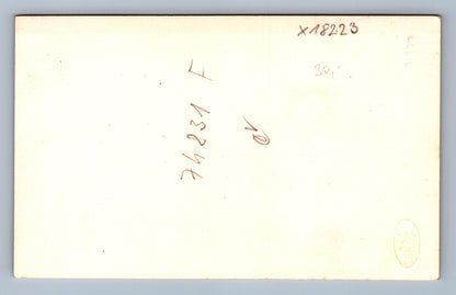 Pohlednice ŽENA V KROJI (x18223)