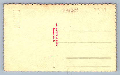 Pohlednice ŽENA S ÚSMĚVĚM 1936 HEREČKA (x18239)