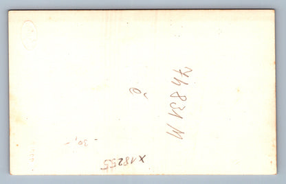 Pohlednice MUŽ S KNÍREM (x18255)