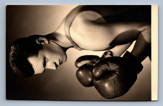 Pohlednice BOXER (x18259)