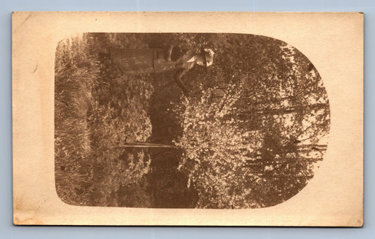 Pohlednice ŽENA A STROM (x18318)