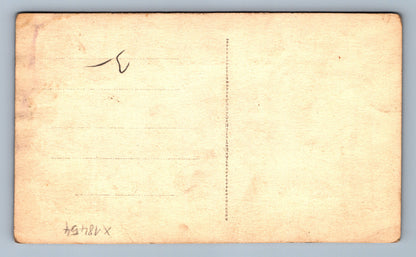 Pohlednice DIVADELNÍ SBOR (x18454)