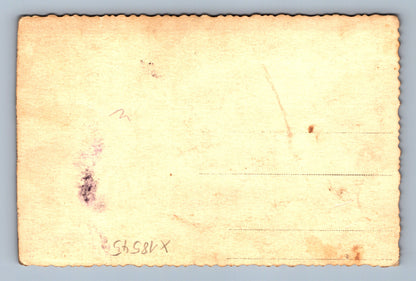 Pohlednice SVATBA (x18545)
