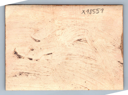 Pohlednice ŽENA V KLOBOUKU U ŘEKY (x18551)