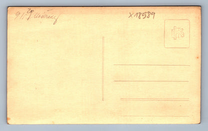 Pohlednice V LESE NA PROCHÁZCE (x18589)
