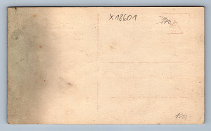 Pohlednice HERZLICKE WEIHNACHTSRÜSSE (x18601)