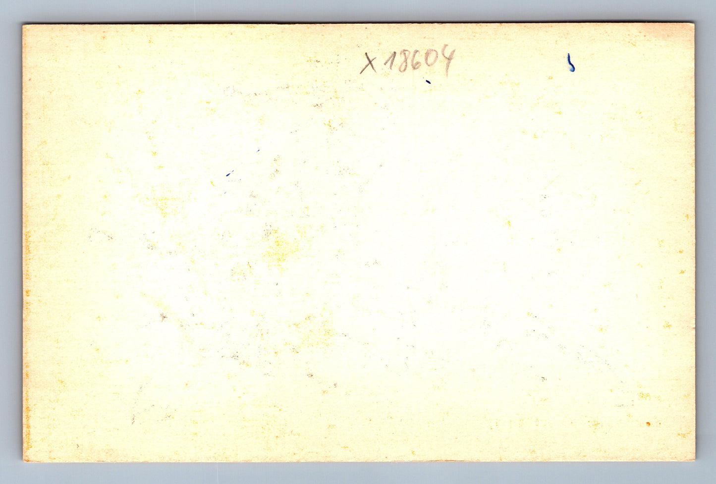 Pohlednice KRÁLÍK S MRKVÍ (x18604)