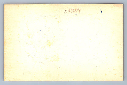 Pohlednice KRÁLÍK S MRKVÍ (x18604)