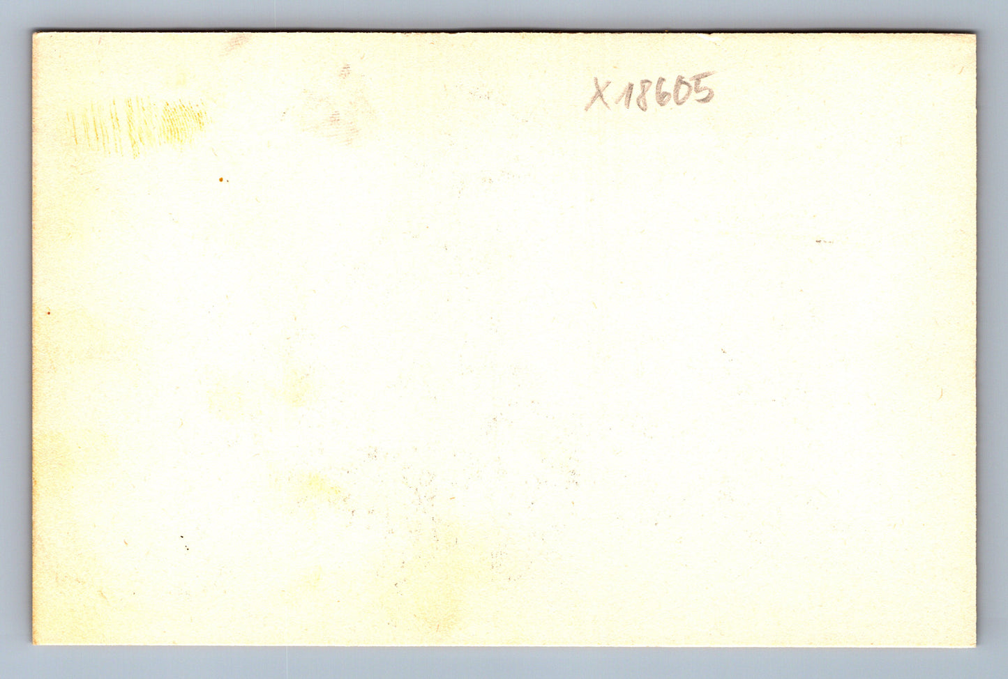 Pohlednice KRÁLÍK S MRKVÍ (x18605)