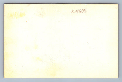 Pohlednice KRÁLÍK S MRKVÍ (x18605)