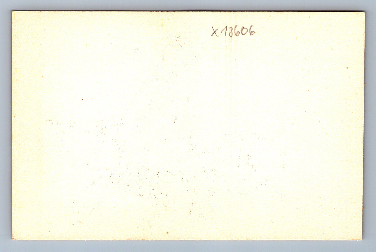 Pohlednice KRÁLÍK S MRKVÍ (x18606)
