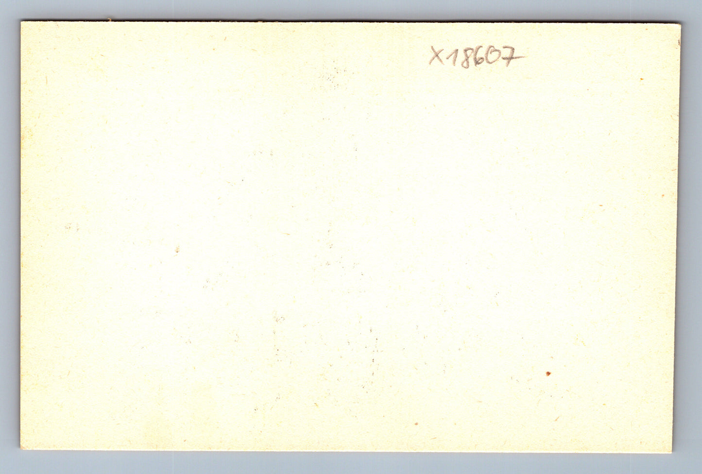 Pohlednice KRÁLÍK S MRKVÍ (x18607)