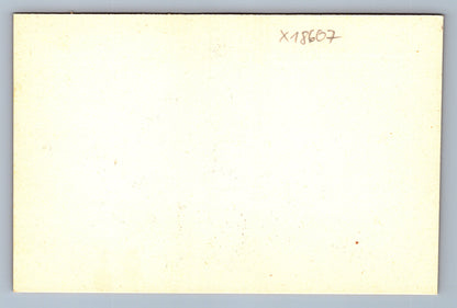 Pohlednice KRÁLÍK S MRKVÍ (x18607)