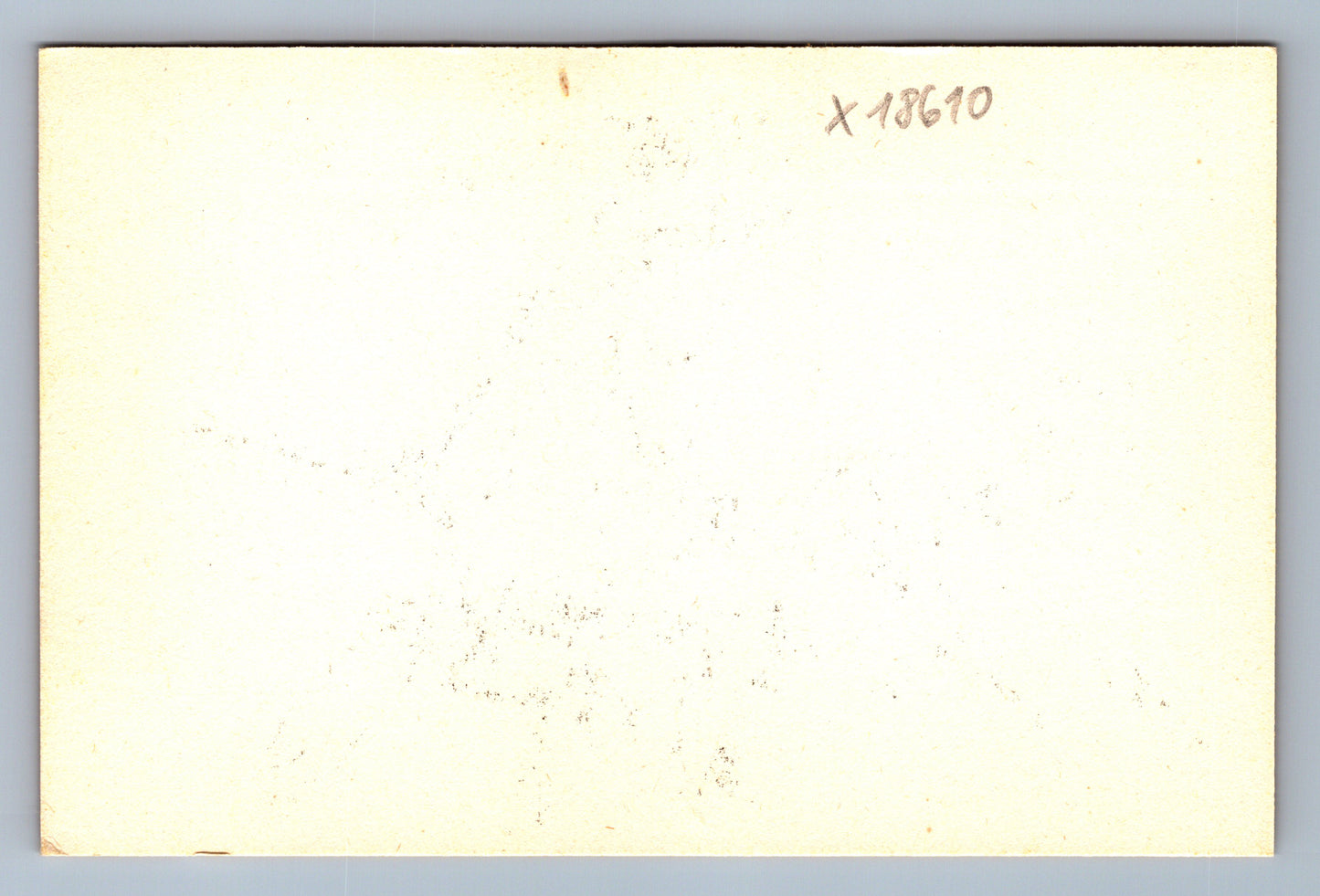 Pohlednice KRÁLÍK S MRKVÍ (x18610)