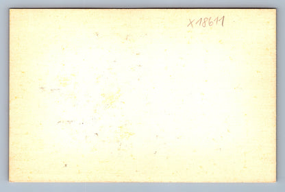Pohlednice KRÁLÍK S MRKVÍ (x18611)