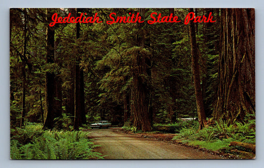 Pohlednice JEDEDIAH SMITH STATE PARK - BYWAY IN THE REDWOODS (x18683)