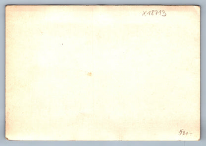 Fotografie MOTORKY (x18713)