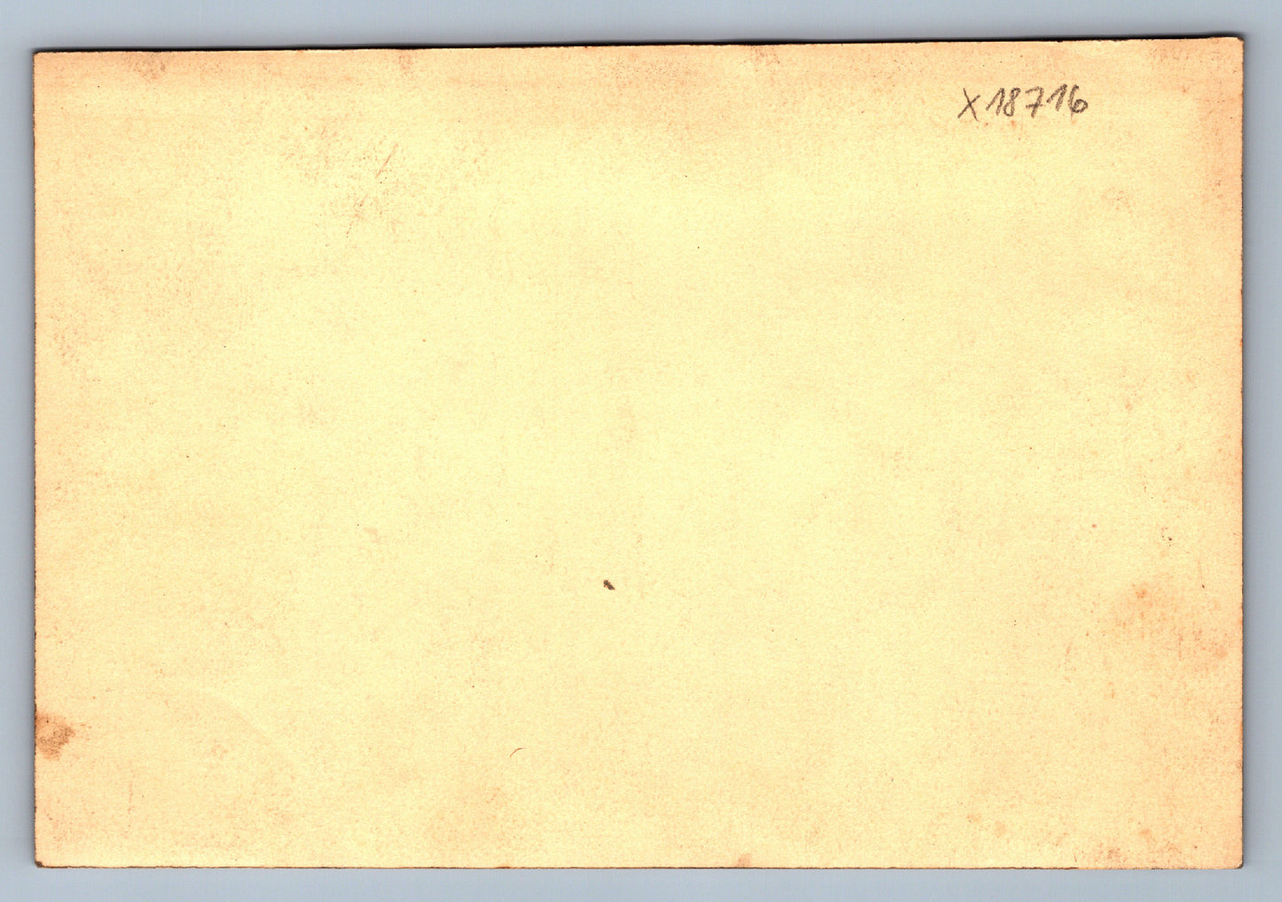 Fotografie LEKNÍNY (x18716)