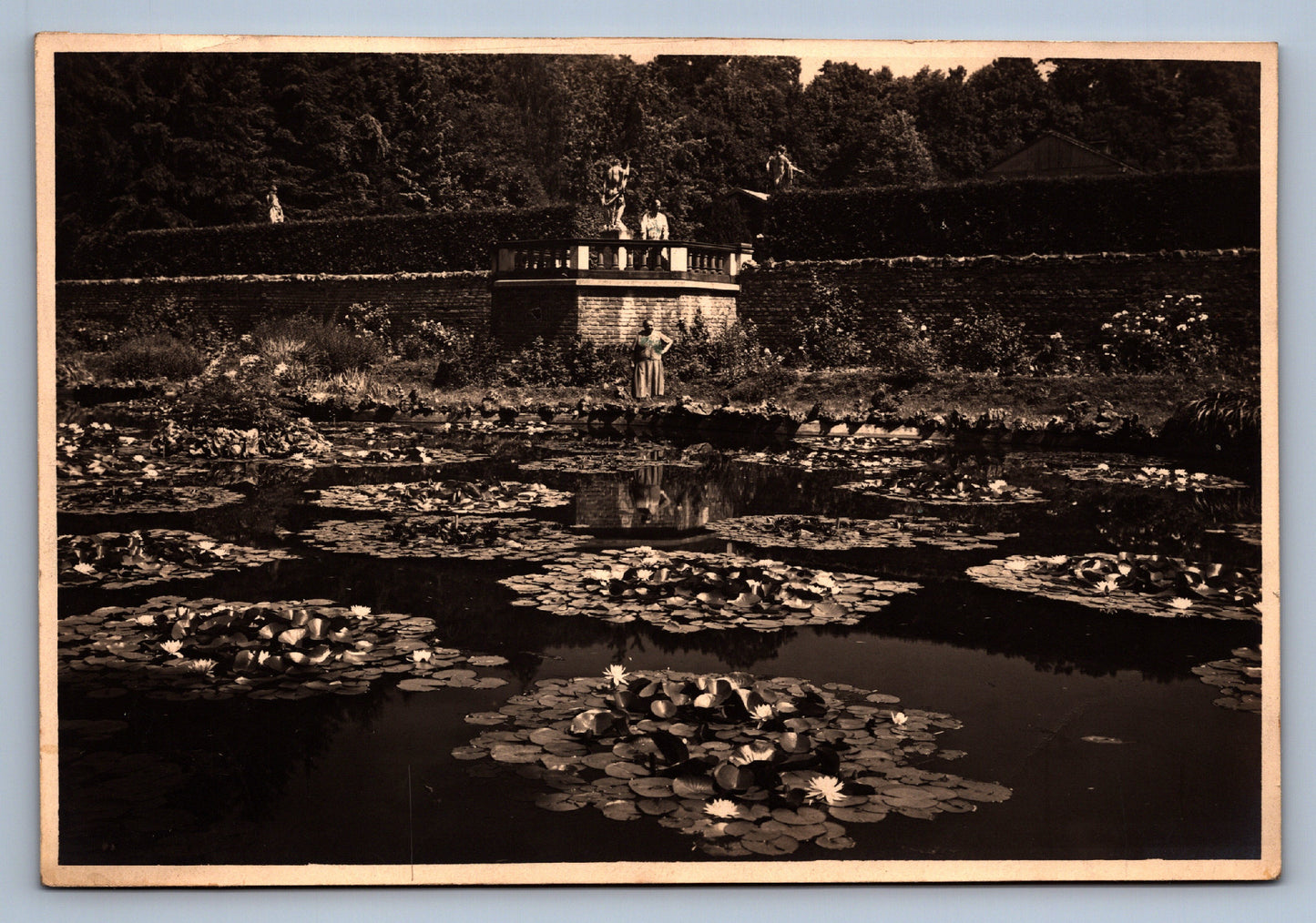 Fotografie LEKNÍNY (x18716)
