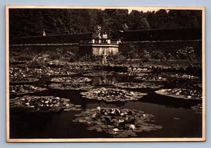 Fotografie LEKNÍNY (x18716)