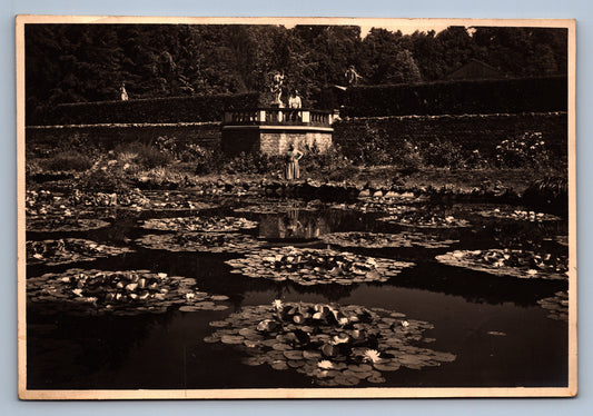 Fotografie LEKNÍNY (x18716)