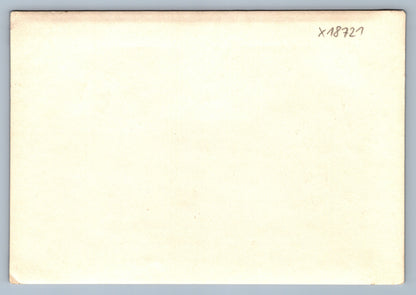 Fotografie VÍTĚZNÝ OBLOUK (x18721)