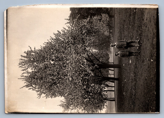 Fotografie KLUCI NA PROCHÁZCE PRAHA (x18723)