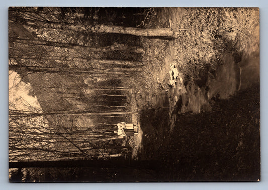 Fotografie NA PROCHÁZCE (x18728)