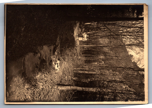 Fotografie RADOTÍNSKÉ ÚDOLÍ NA PROCHÁZCE (x18734)