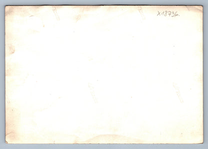 Fotografie SRAZ VETERÁNŮ BENEŠ STALIN (x18736)