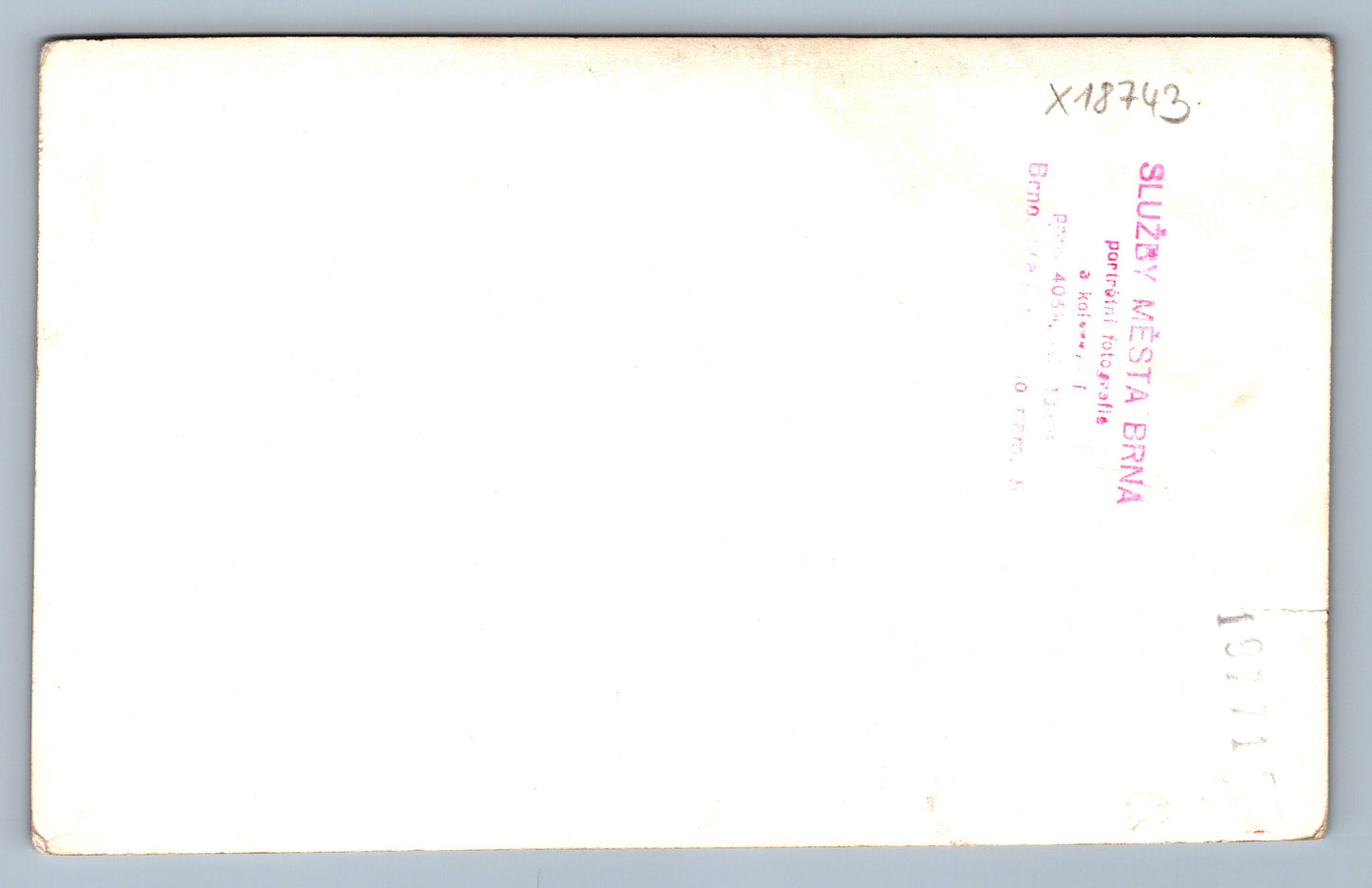 Fotografie SVATBA (x18743)
