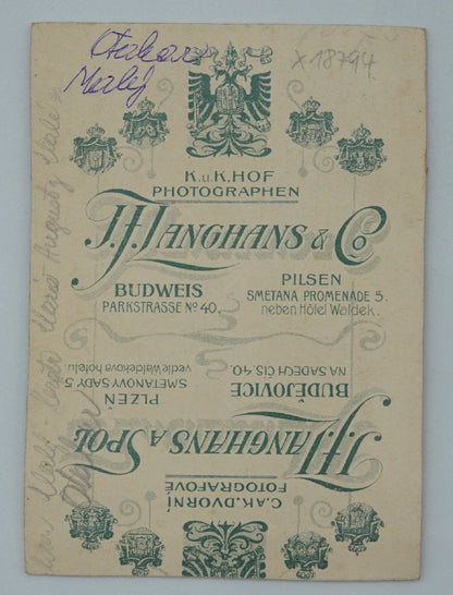 Fotografie MUŽ V UNIFORMĚ K.U.K. HOF PHOTOGRAPHEN J.F.LANGHANS(x18794)