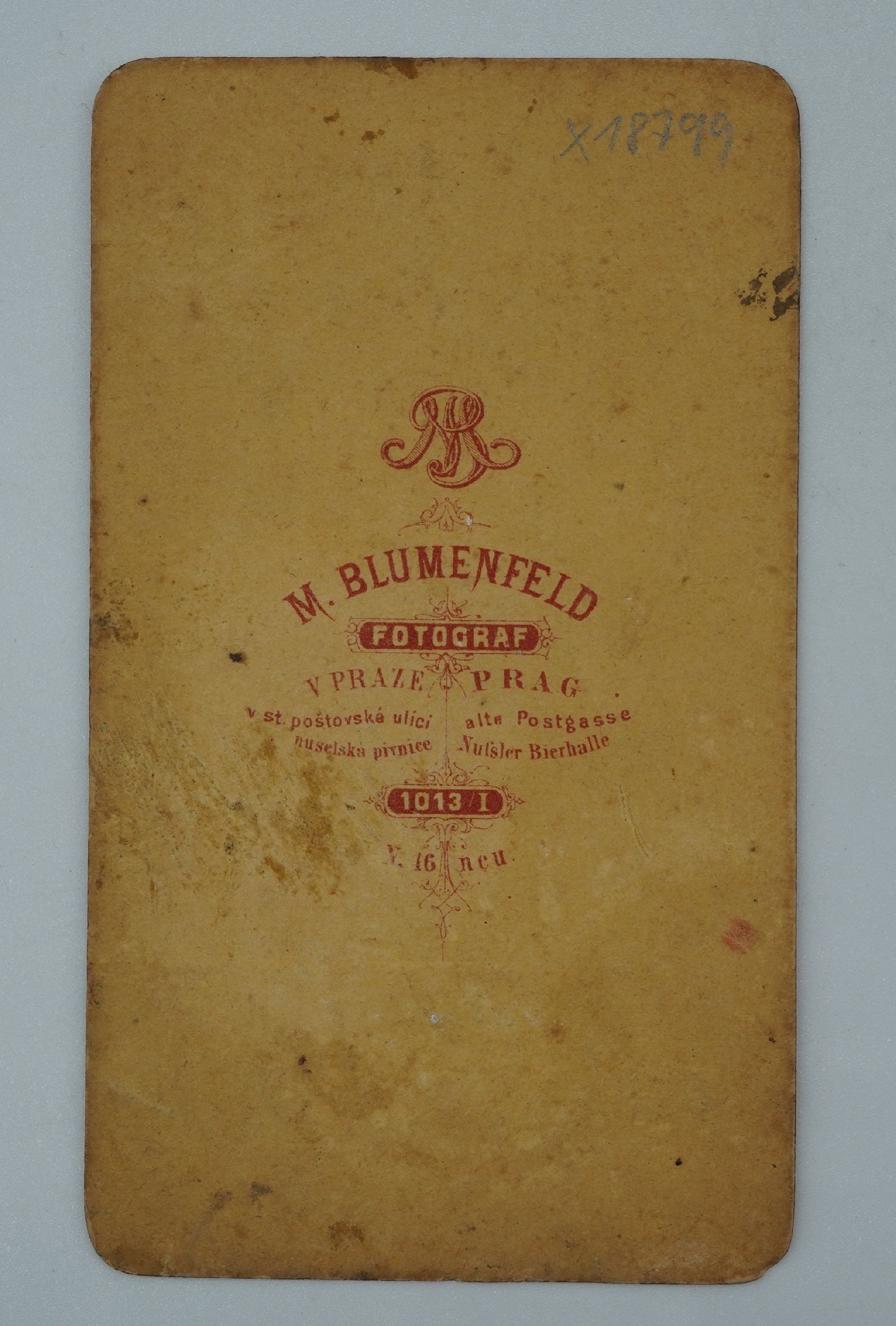 Fotografie MUŽ S KNÍRKEM M.BLUMENFELD FOTOGRAF V PRAZE (x18799)