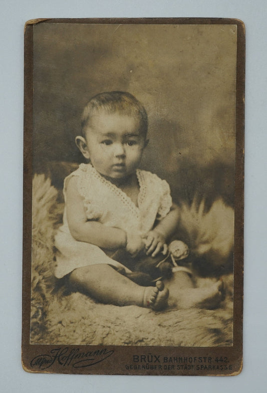 Fotografie DÍTĚ NA KOŽEŠINĚ ALFRED HOFFMANN (x18804)