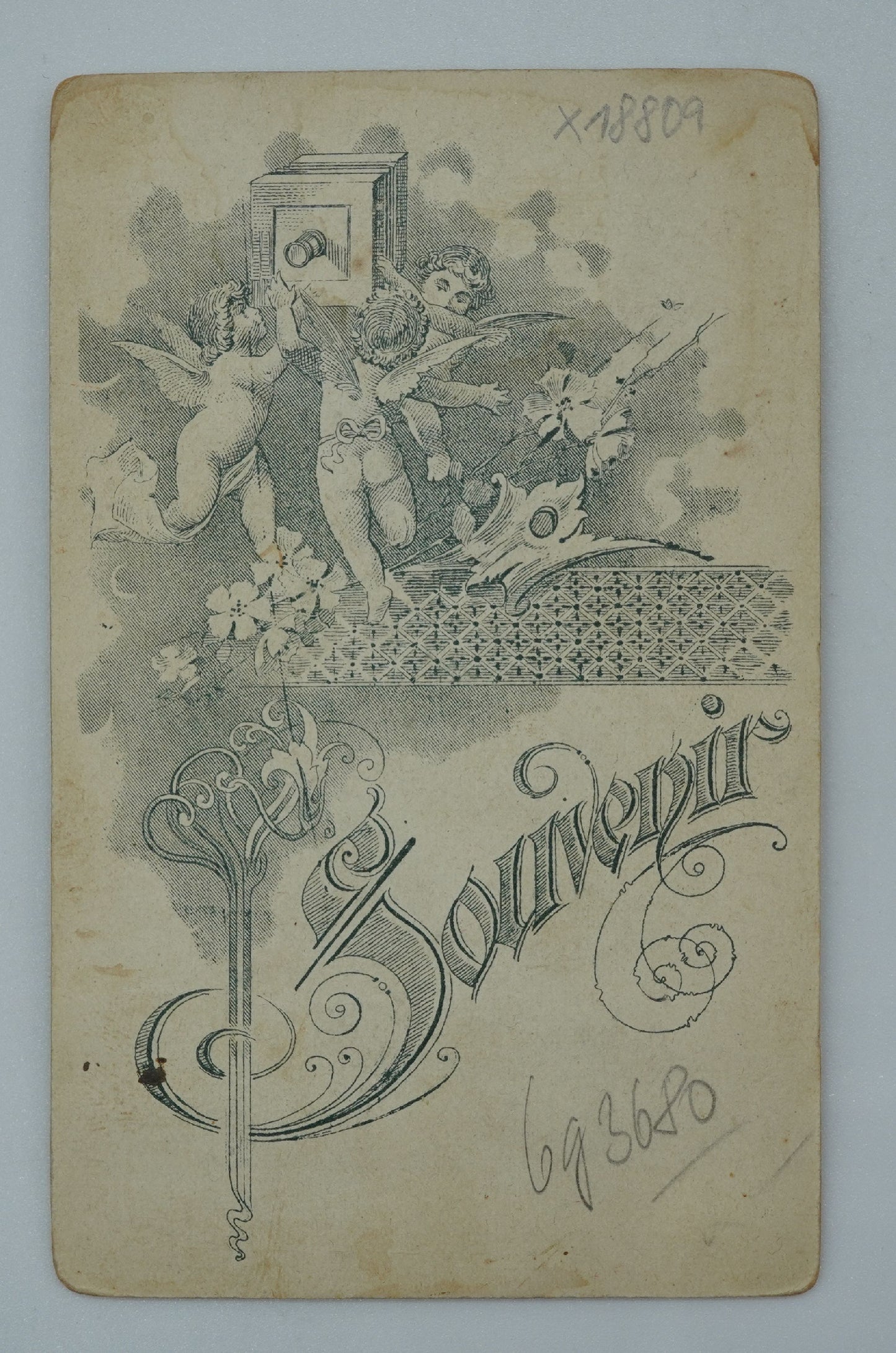 Fotografie ŽENA SOUVENIR VISIT PORTRAIT (x18809)