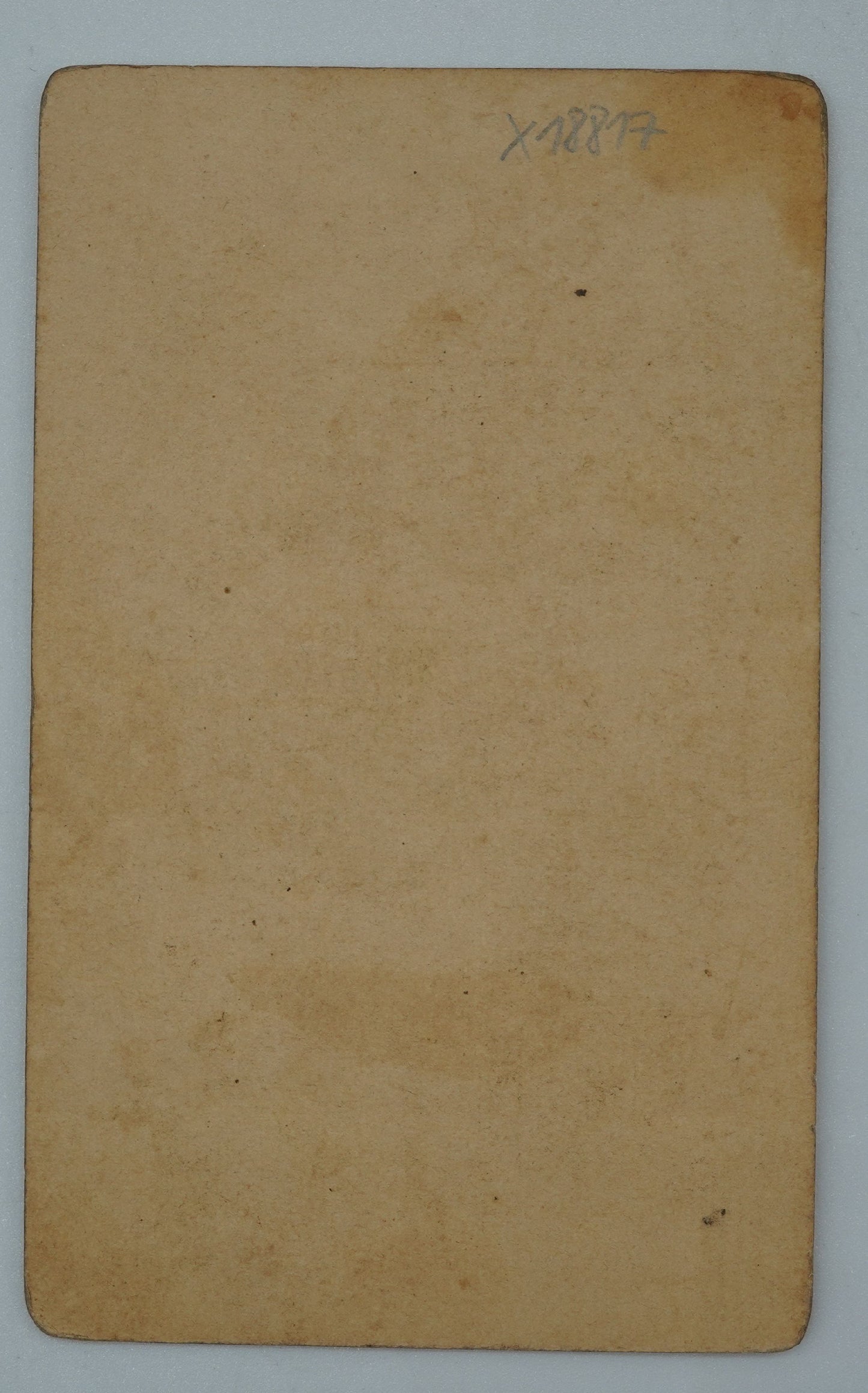 Fotografie DÍTĚ NA TONETCE (x18817)