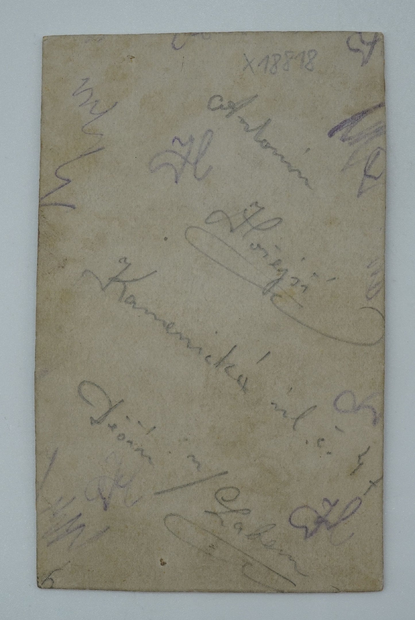 Fotografie RODINA ANTONÍN HOŘEJŠÍ (x18818)