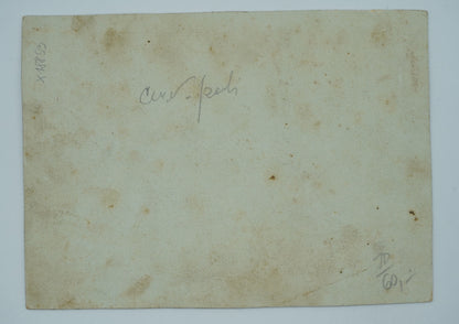 Fotografie MATEŘSKÁ ŠKOLKA (x18853)