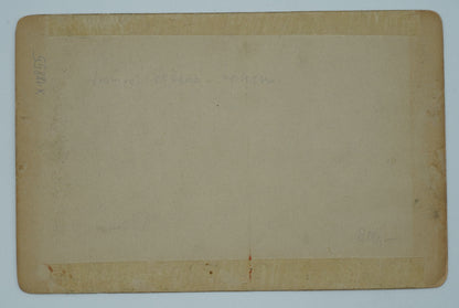 Fotografie TRAMVAJ TAŽENÁ KONMI LINZ A. D. (x18855)